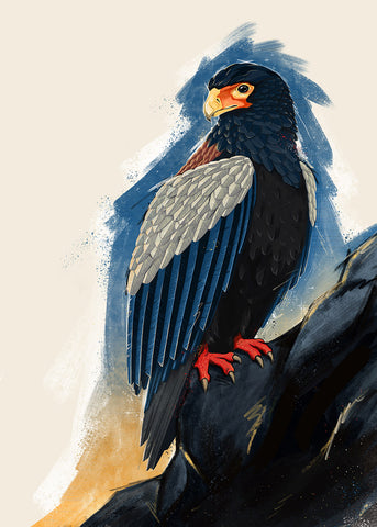 Bateleur