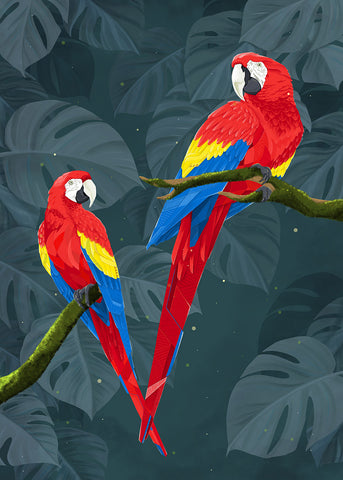 Macaws