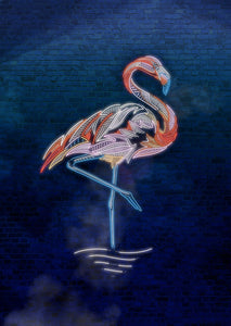 Flamingo