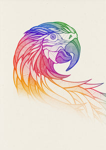 Rainbow Macaw