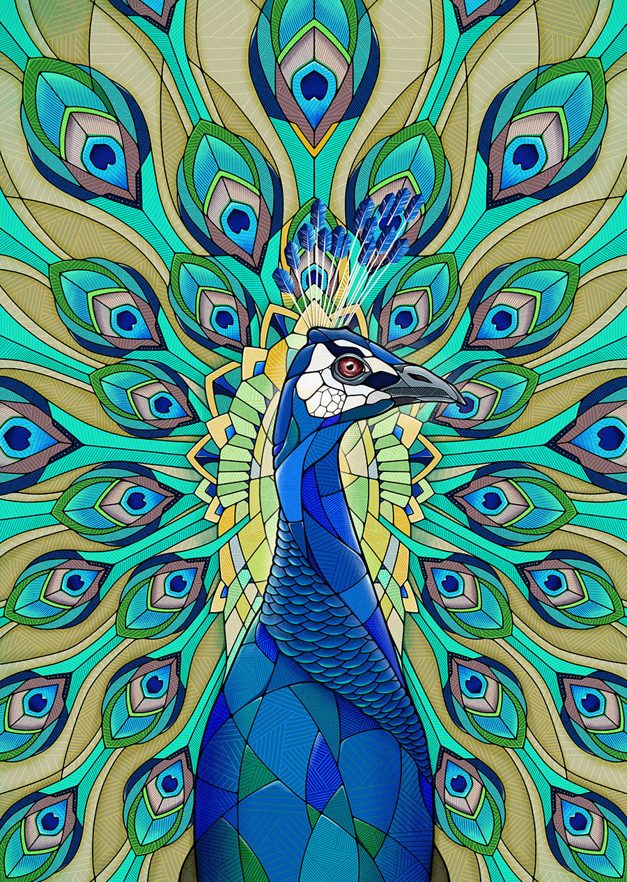 Peacock