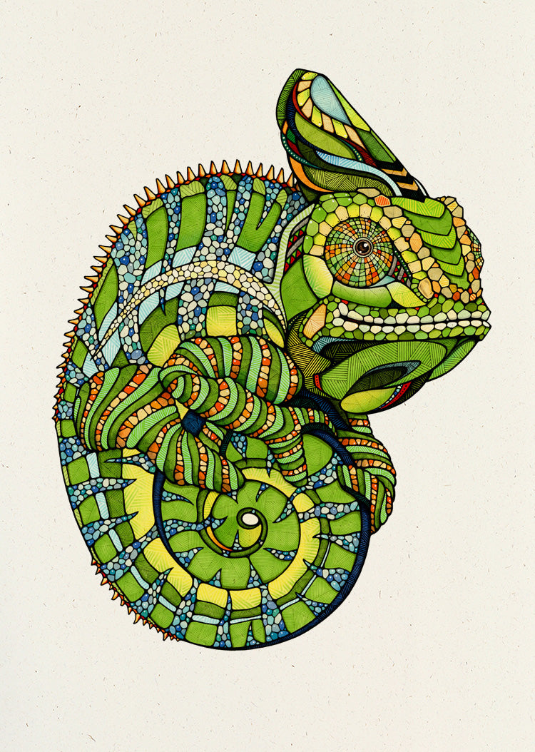 Chameleon