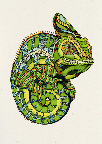 Chameleon