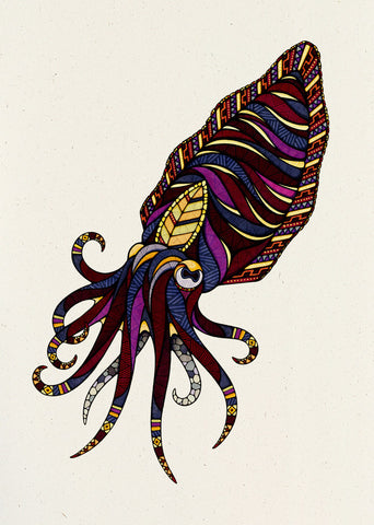 Cuttlefish