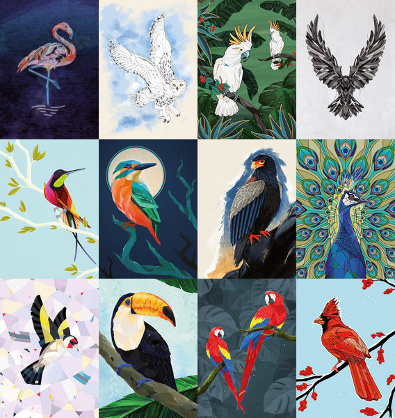 Postcards - World of Birds